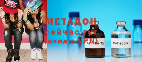 прущие грибы Осинники