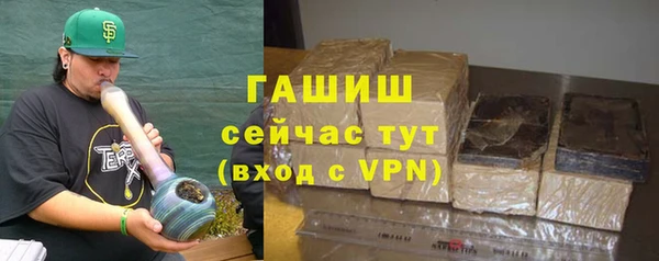 прущие грибы Осинники