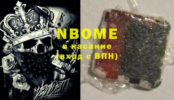 прущие грибы Осинники
