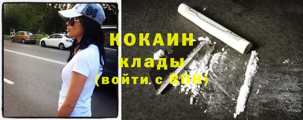прущие грибы Осинники