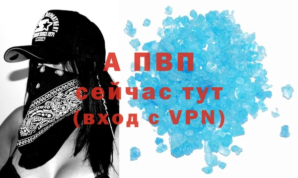 spice Пестово