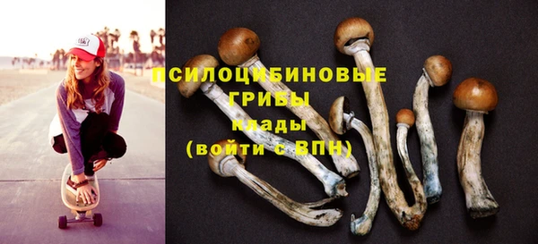 прущие грибы Осинники