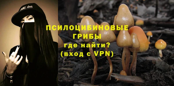 синтетический гашиш Осташков