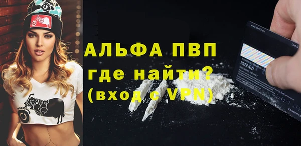 прущие грибы Осинники
