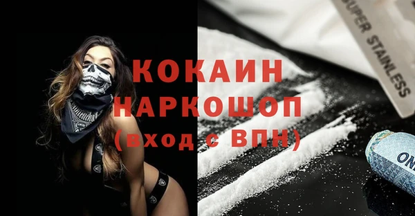 прущие грибы Осинники