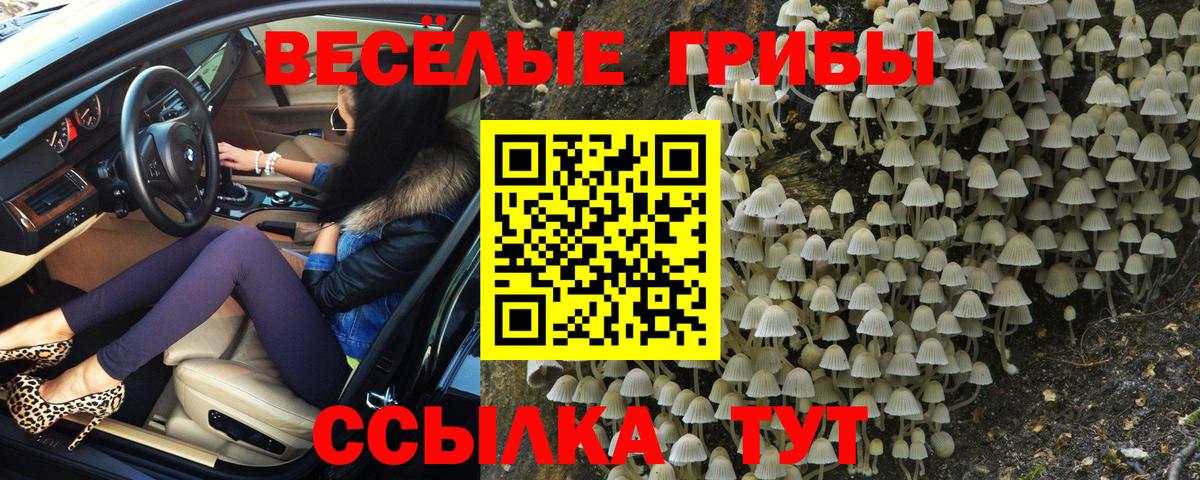 Галлюциногенные грибы Psilocybine cubensis  где найти наркотики  Балабаново 