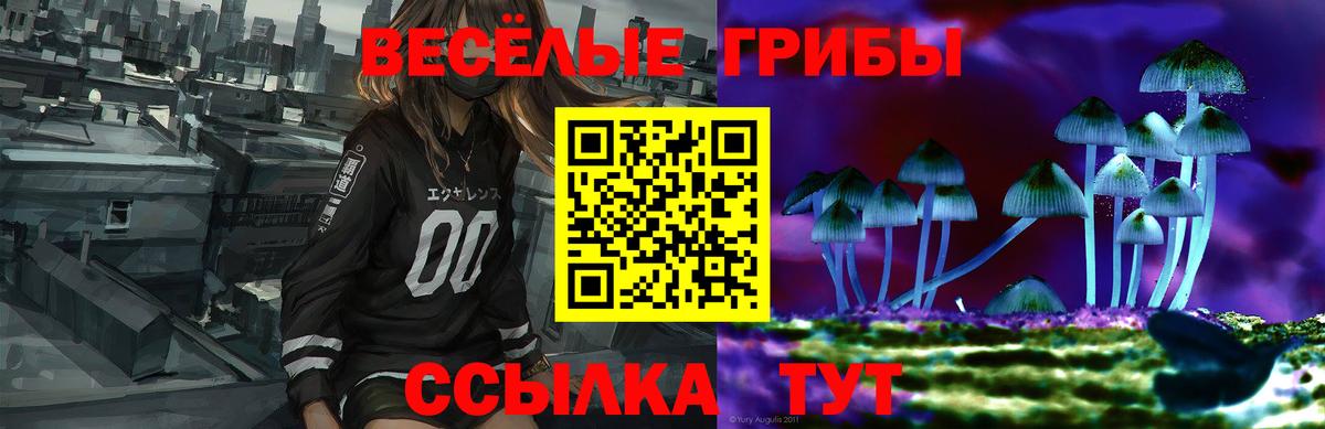 Псилоцибиновые грибы Cubensis  Вход с VPN  Балабаново 